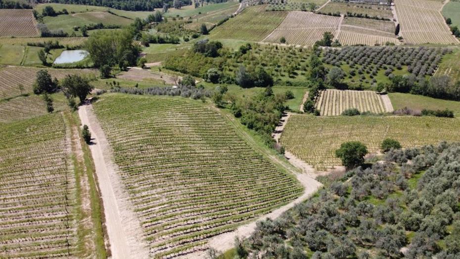 Poggio Al Sole Daire Montespertoli Dış mekan fotoğraf